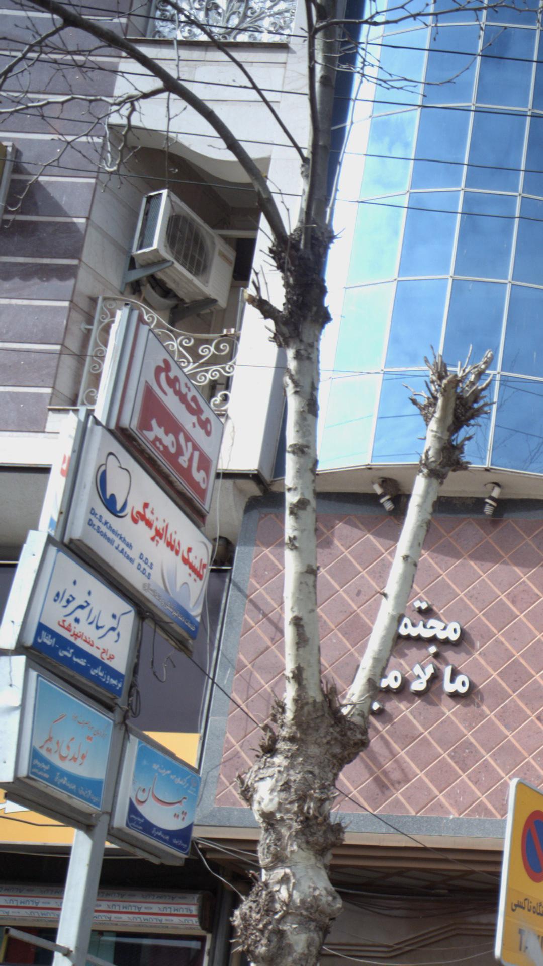 مجتمع مالامیر