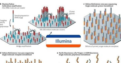 دکتر سروش نصری