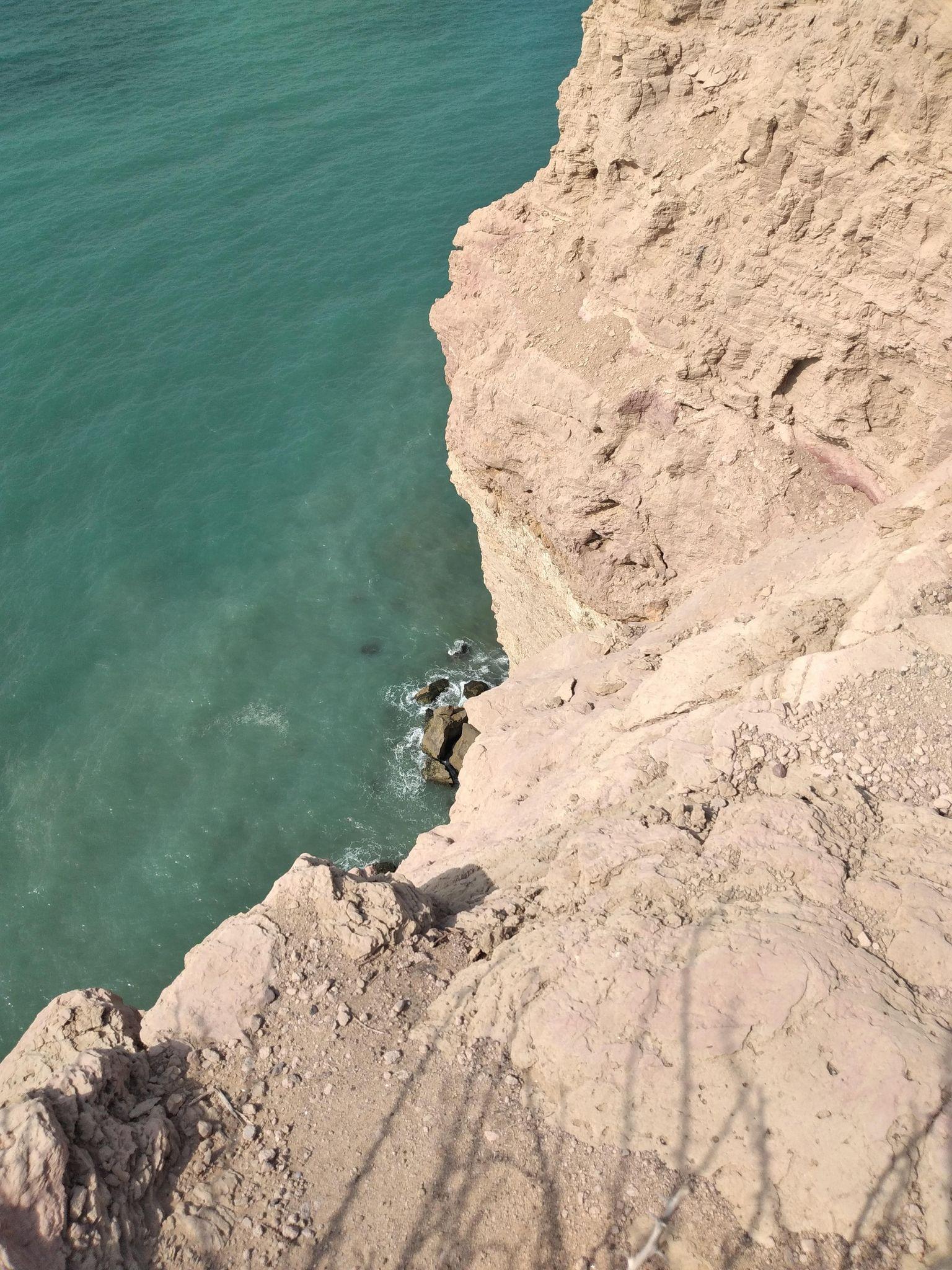 ساحل لاکپشت ها