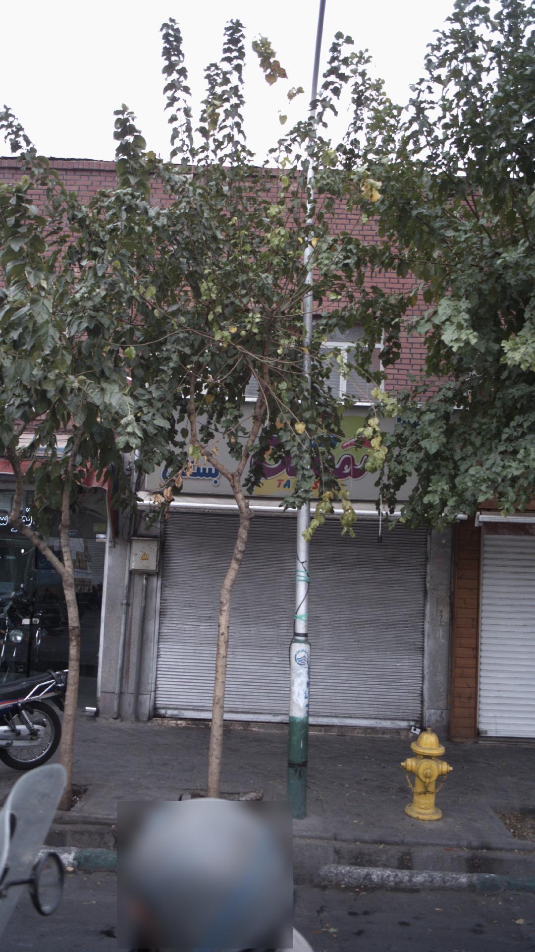 آبمیوه بستنی تمشک