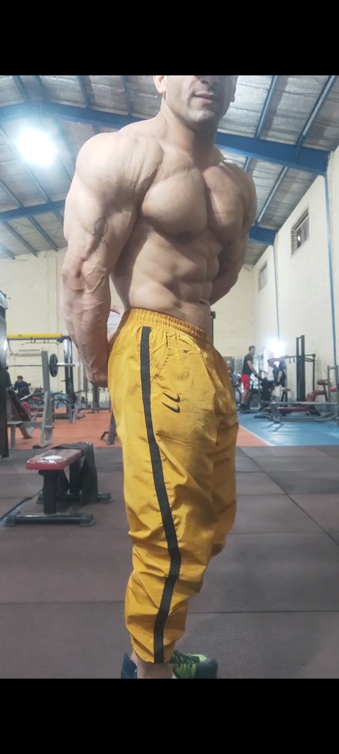 باشگاه بدنسازی دلیران