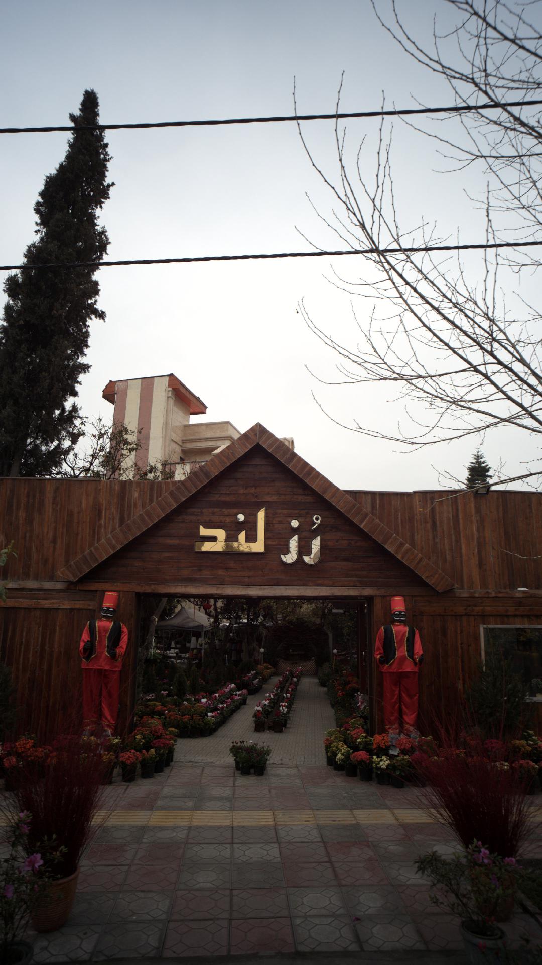رُز لند