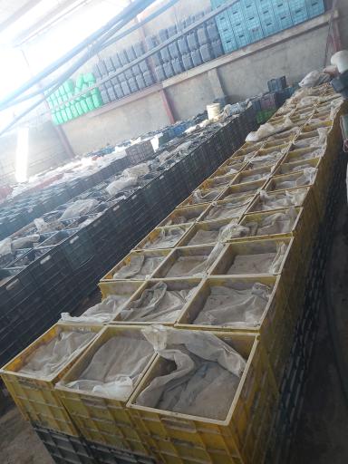 مجموعه تولیدی ورمی کمپوست پدیده سبز نجف آباد