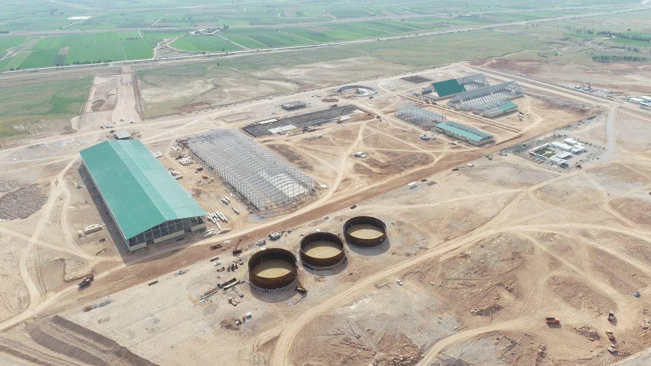 شرکت قند شهدای دزفول