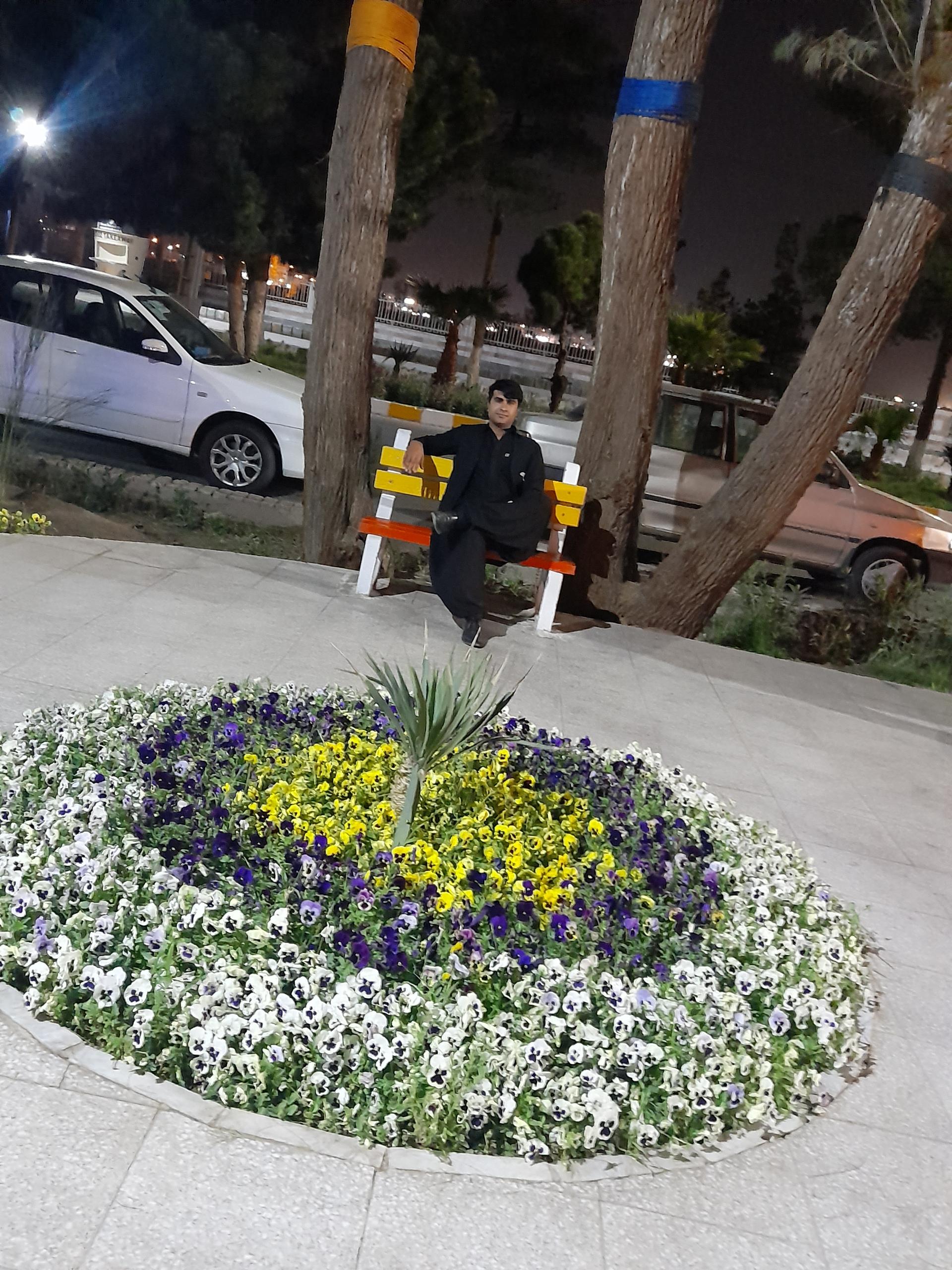 پارک ولیعصر