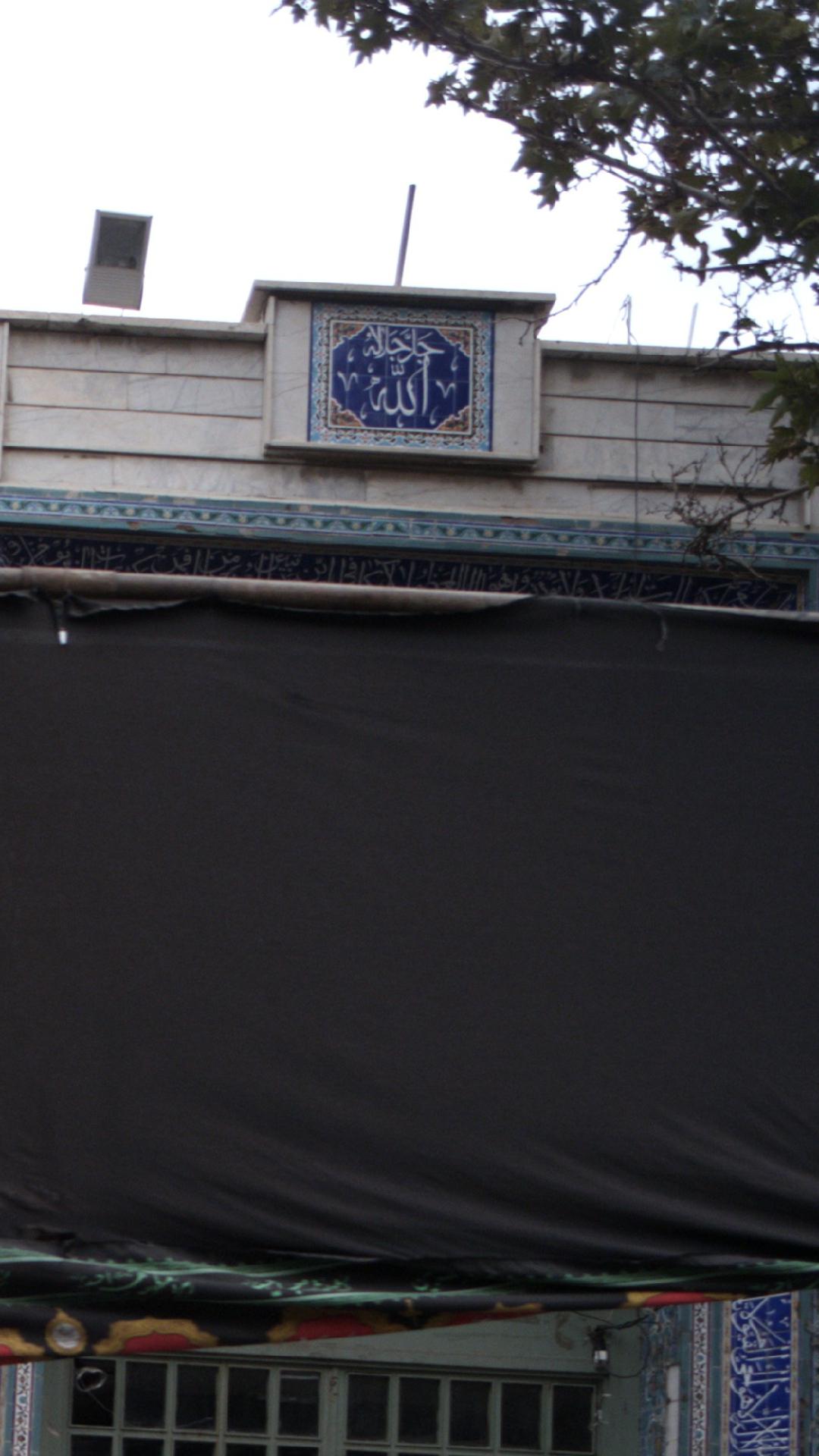 علی آباد گونه