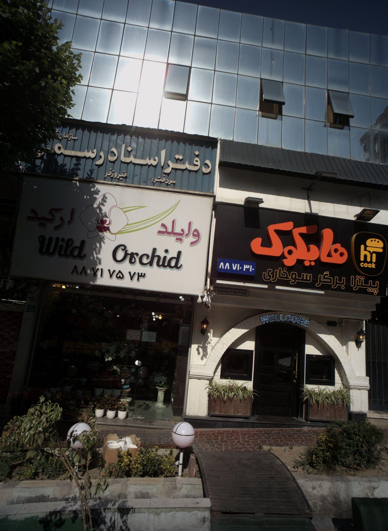 وایلد ارکید