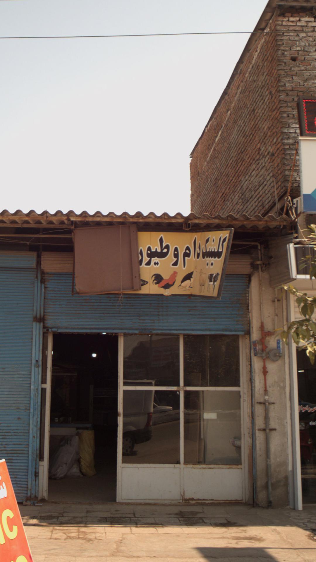 کلینیک دام وطیور