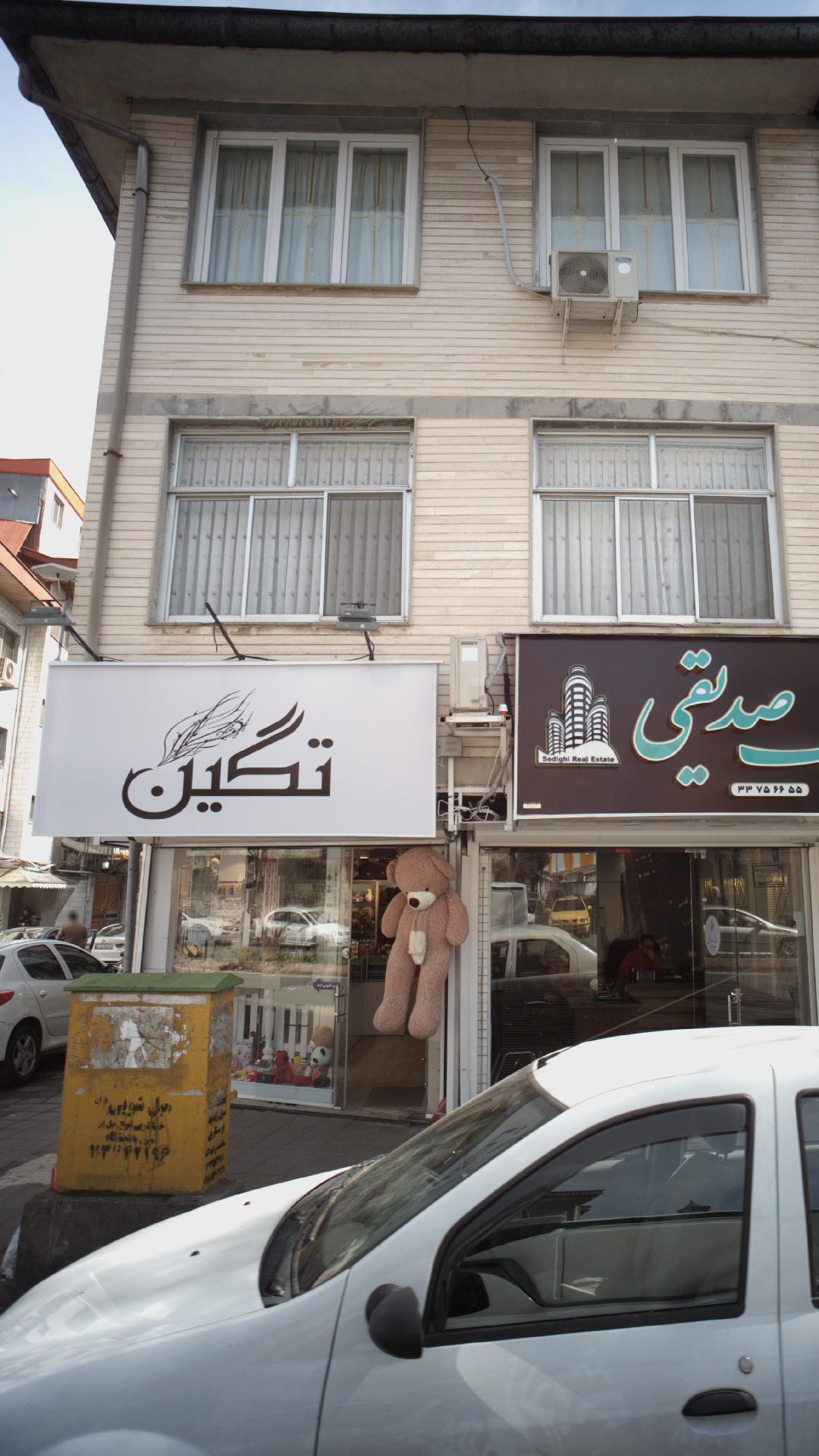 تگین