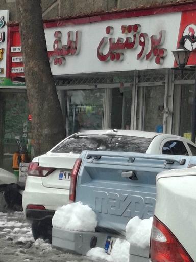 پروتئینی لطیفی