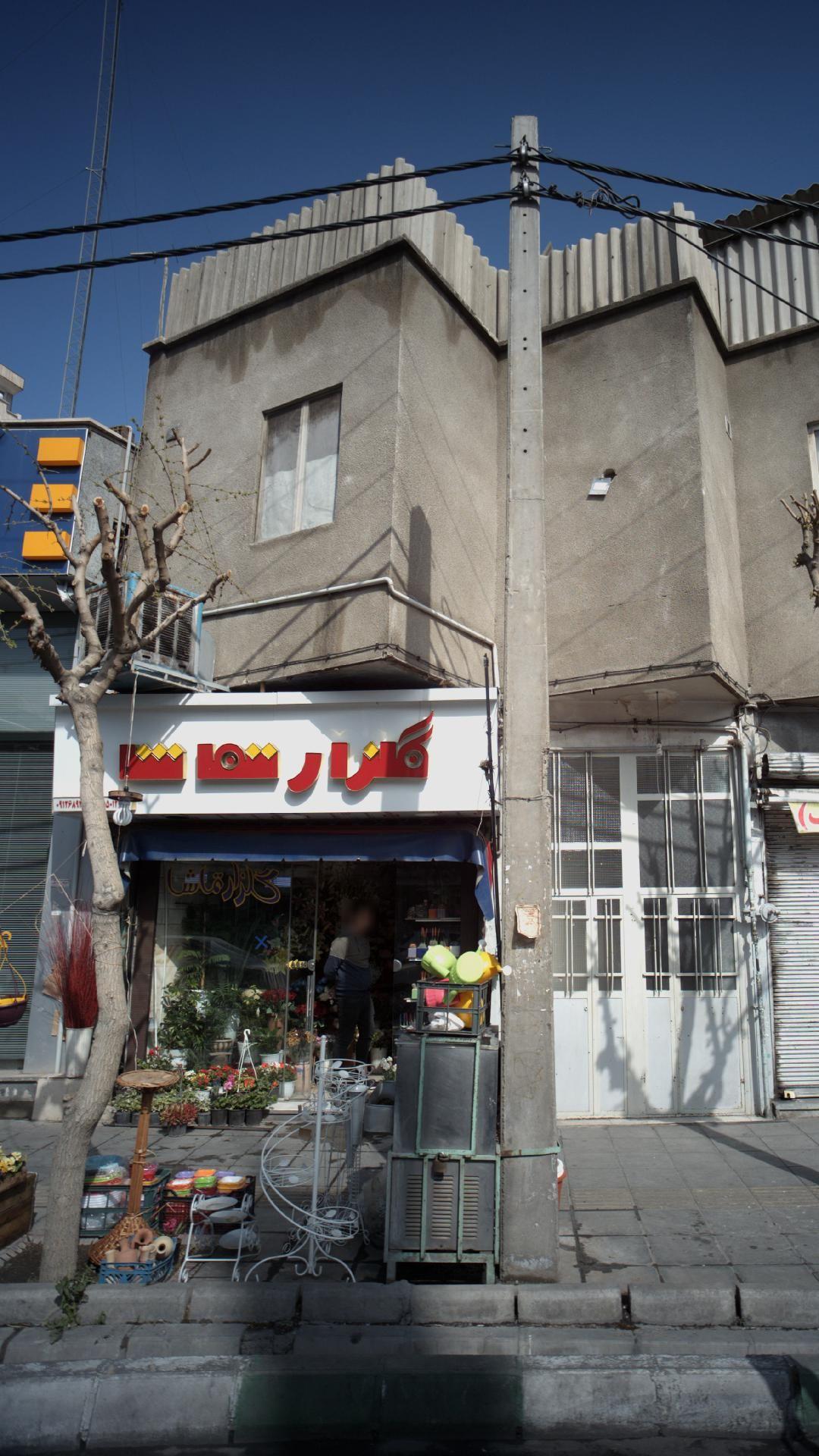 گلزار تماشا