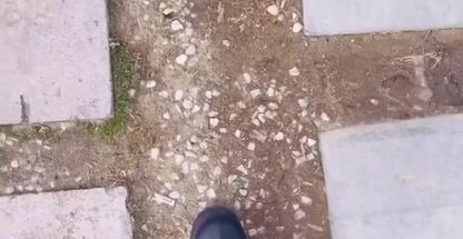 خانه بازی کودک سانی بانی