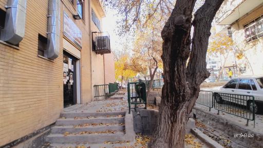 سازمان آتش نشانی