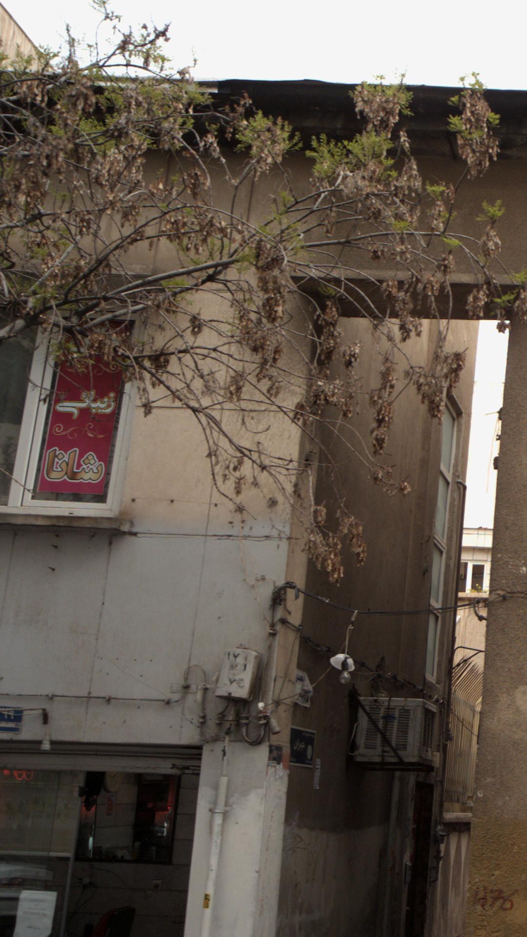 سالن زیبائی شانا