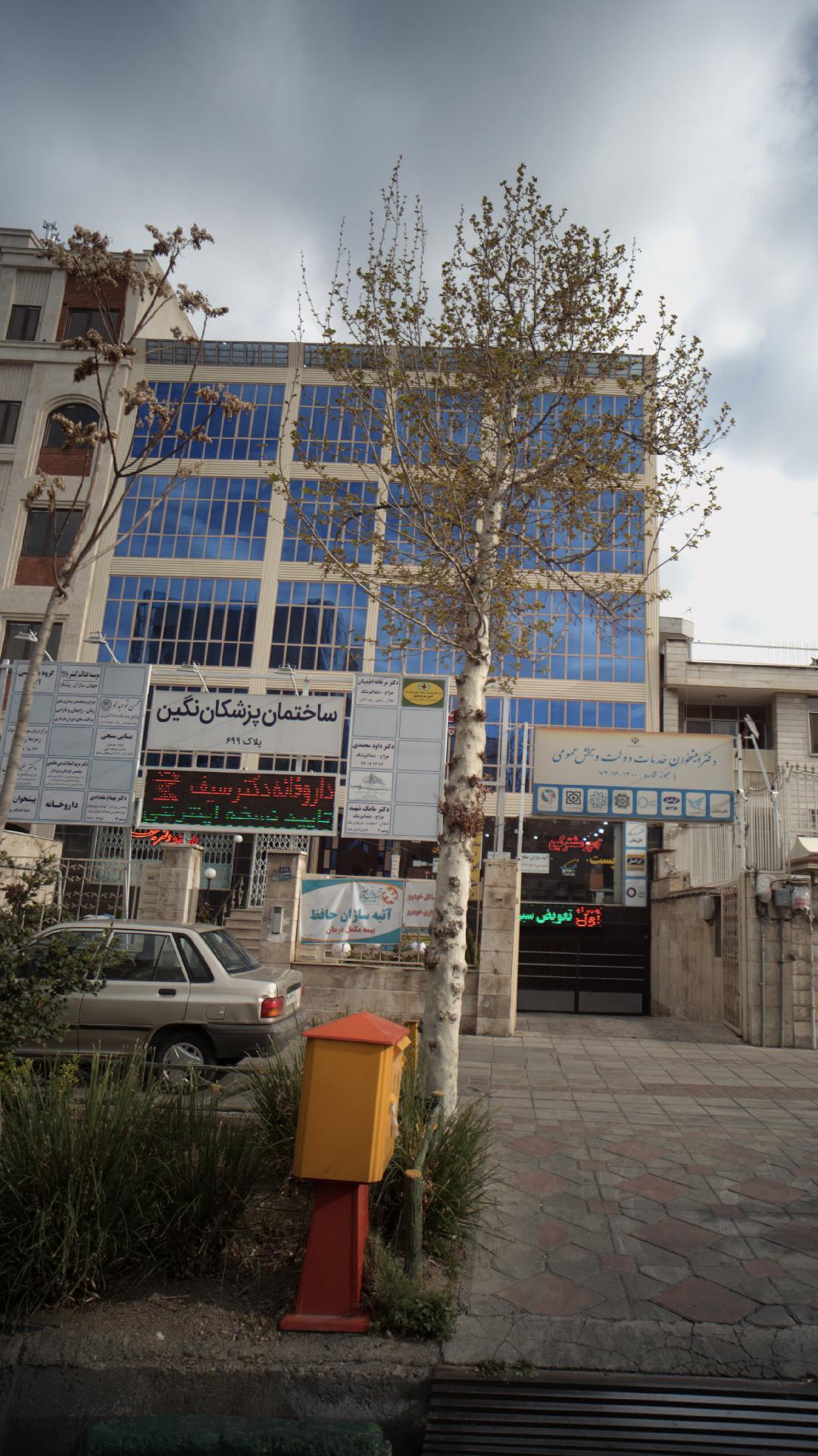 دکتر مامک شهید