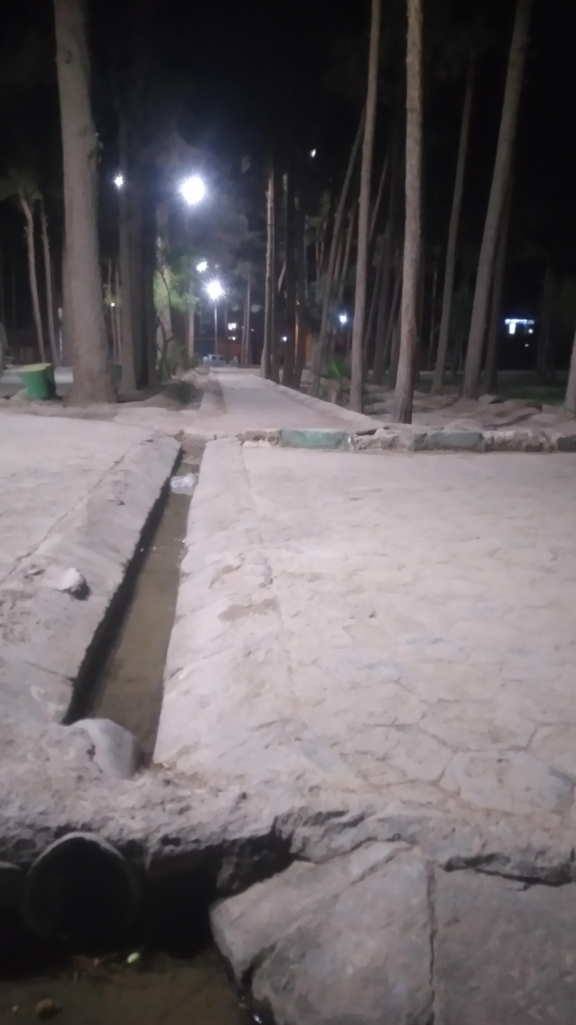 باغ نمونه سعدی