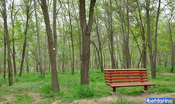 پارک جنگلی طرق