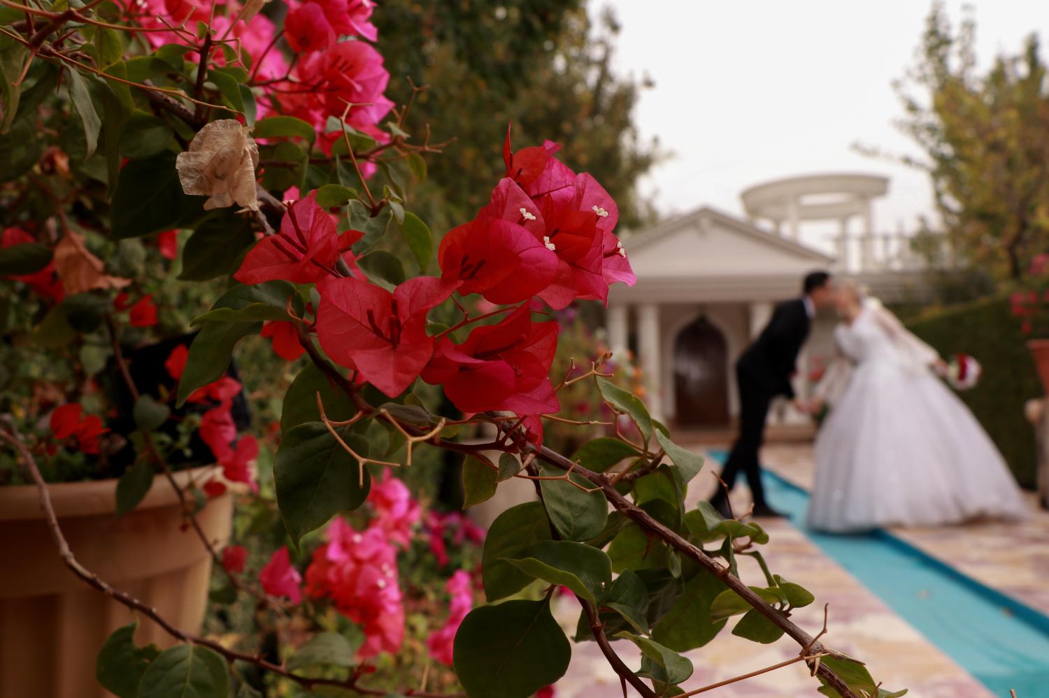 استودیوعکاسی کارینو