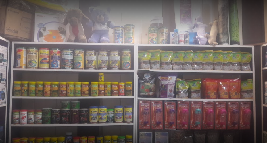 آکواریوم نمو تهرانپارس