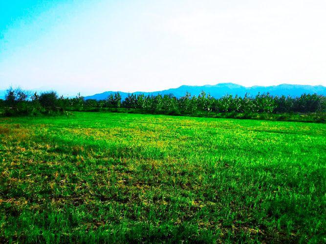 باغ ویلا گردشگری