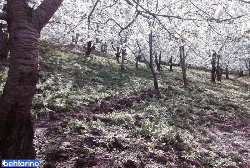 دره ناصرآباد