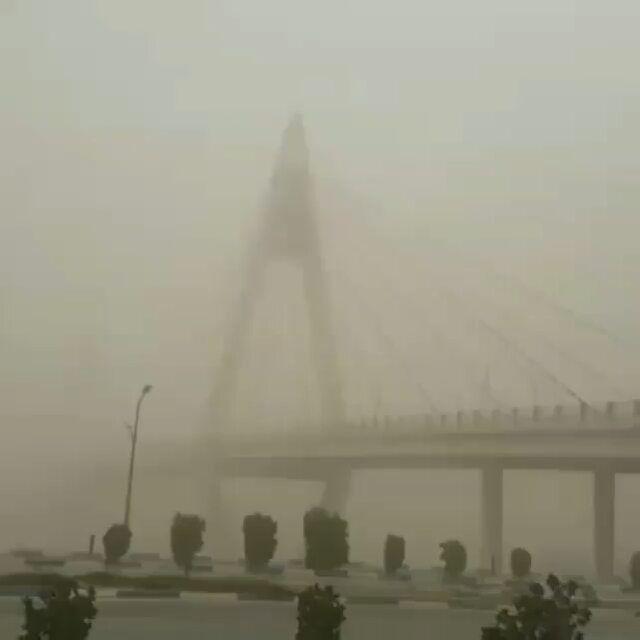 دکتر سارا حاجتی