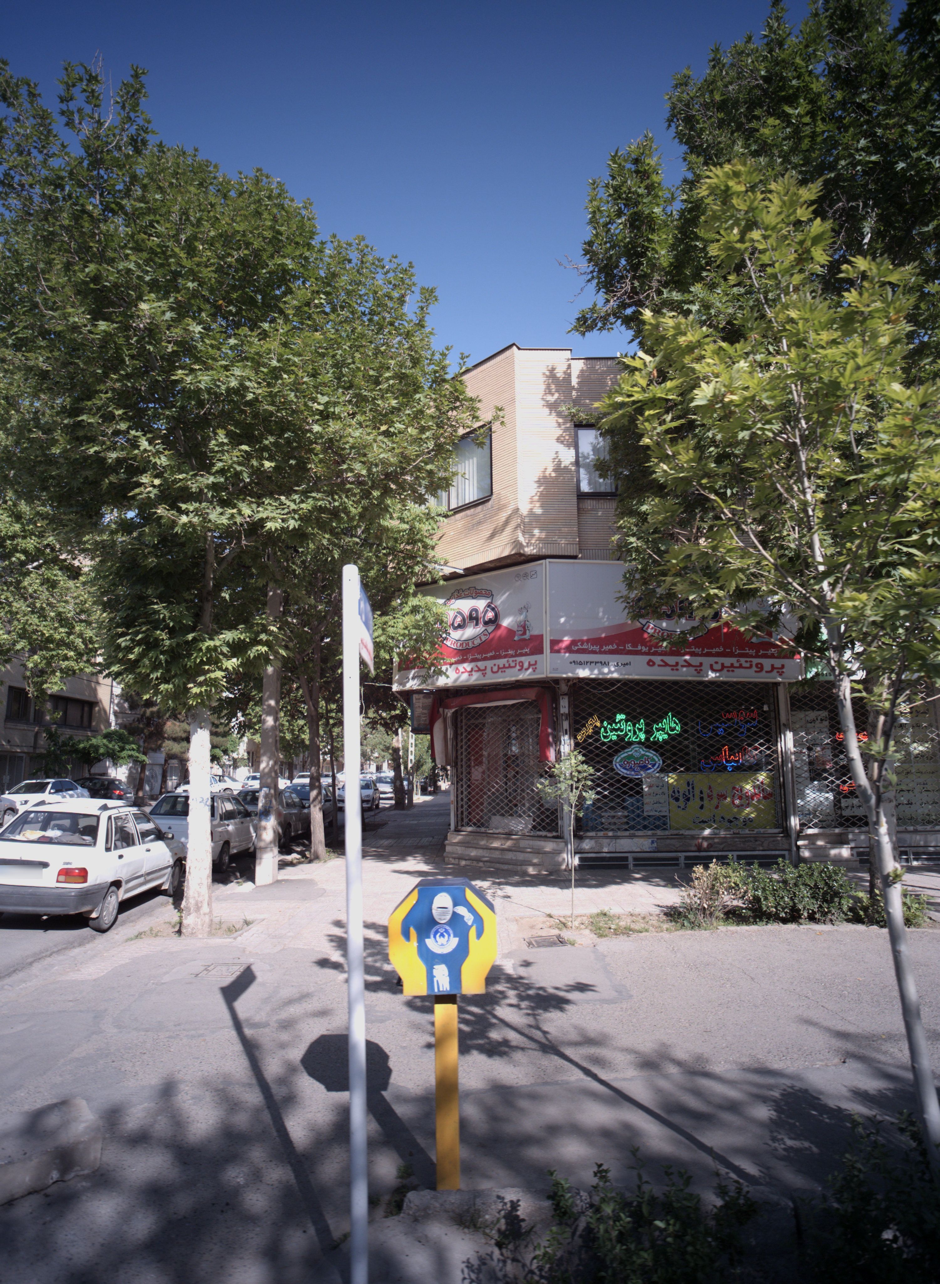 پروتئین پدیده