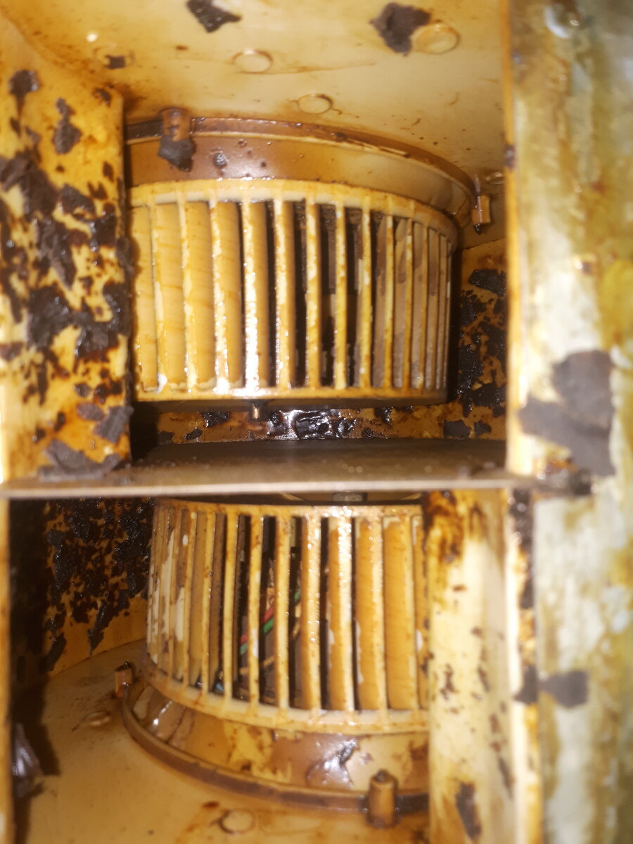 آروین علی بیگی