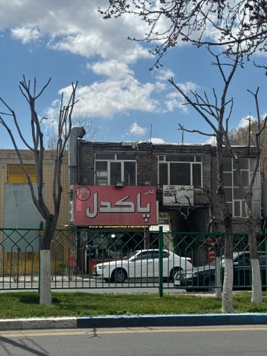 پاکدل