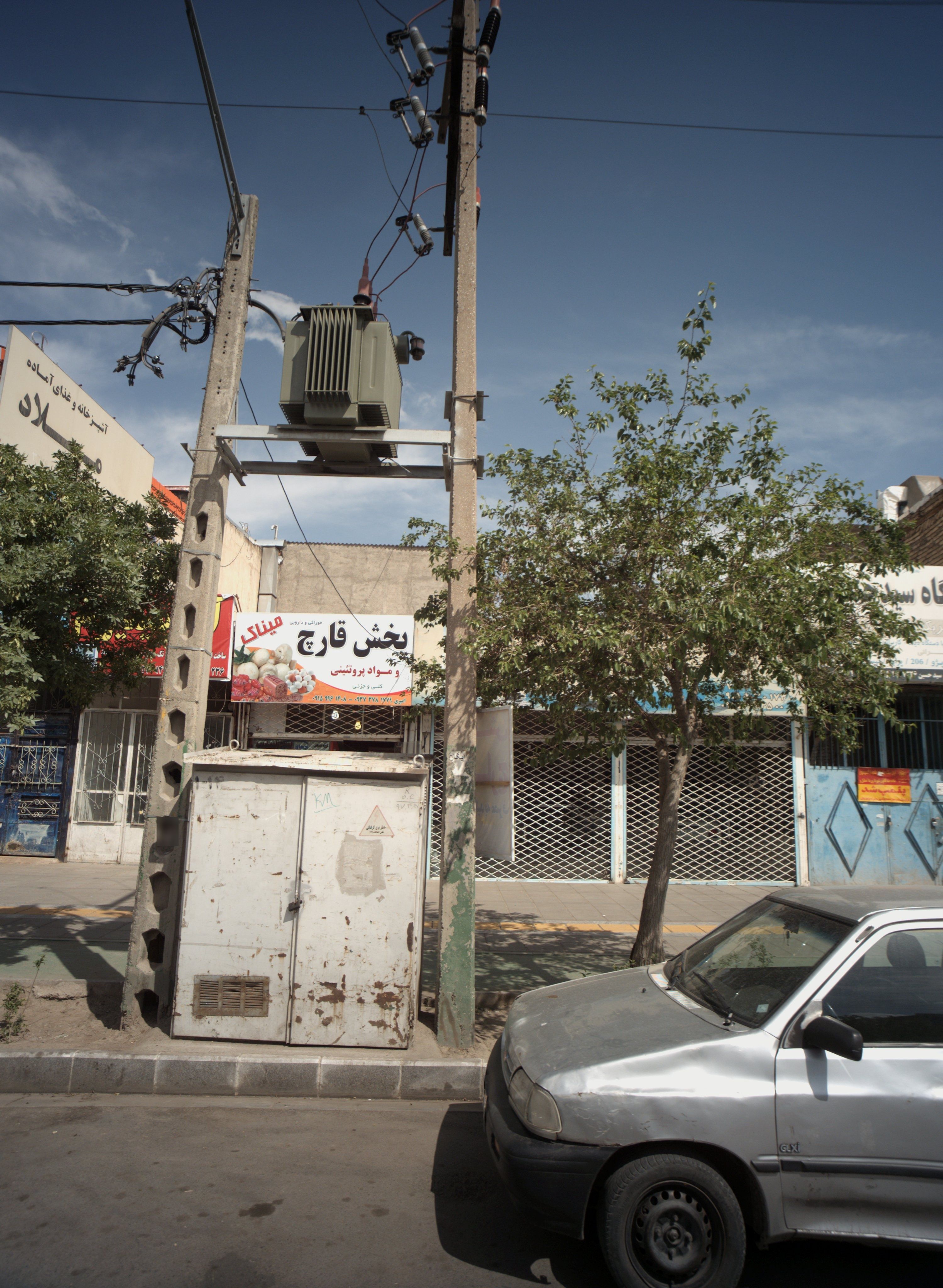 پخش قارچ خوراکی و دارویی میناک