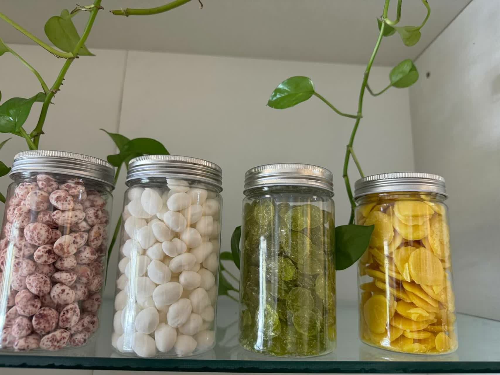 وارنا آکام شایسته