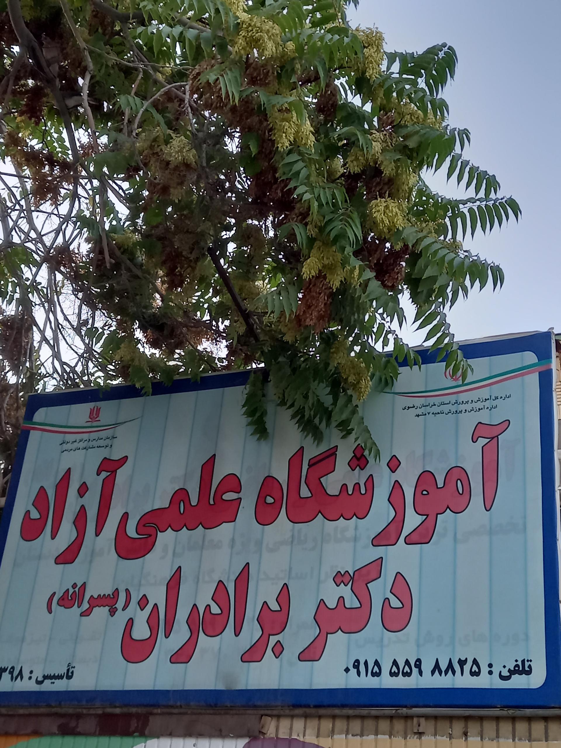 طلا و جواهر سازی عیار