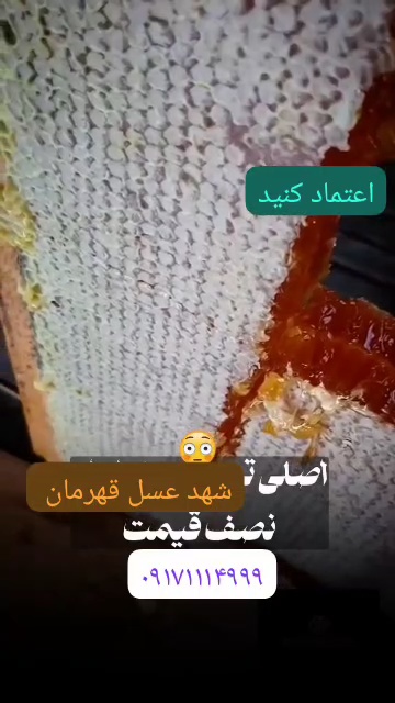 شهد عسل قهرمان