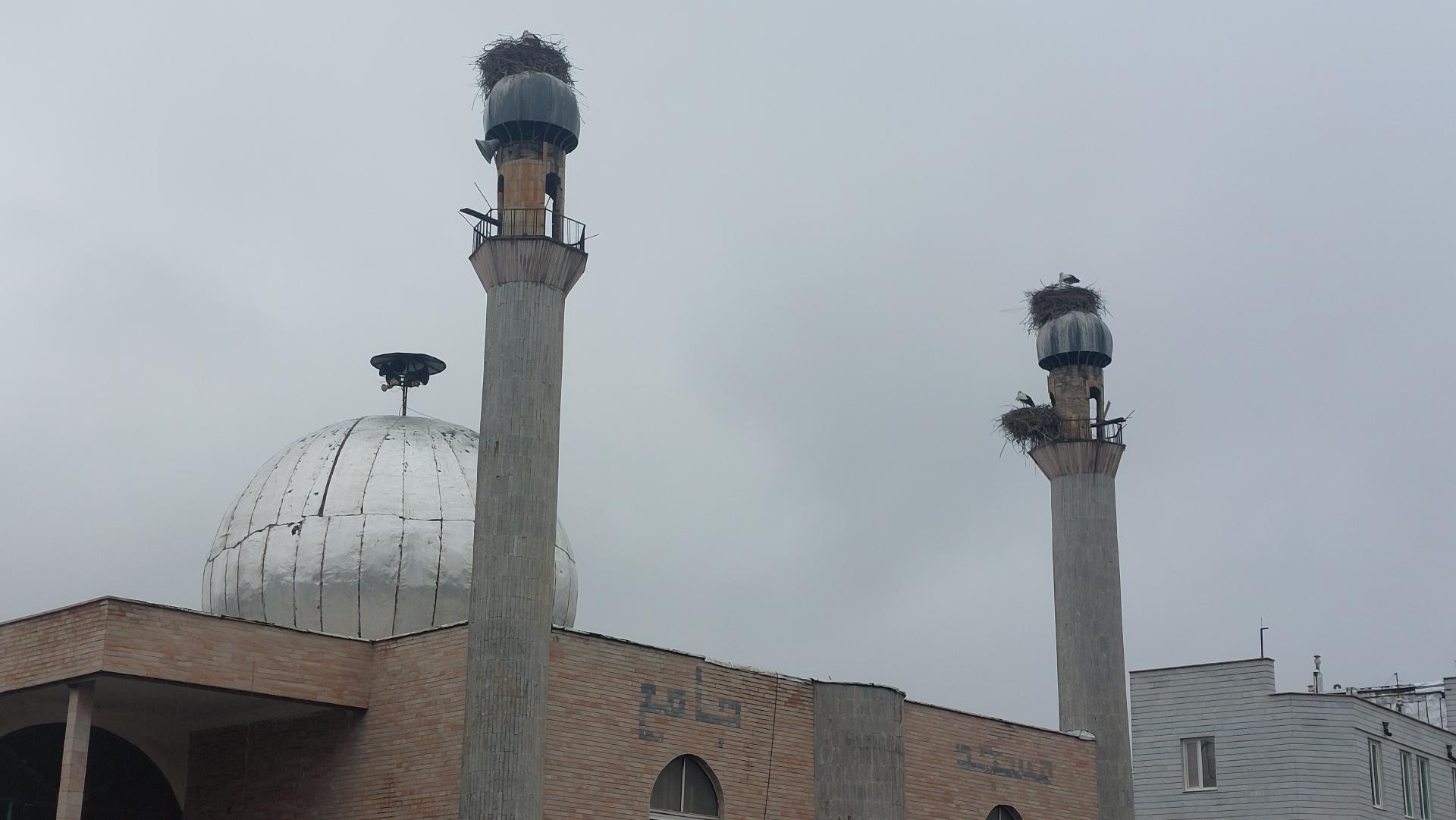 مسجد امام رضا