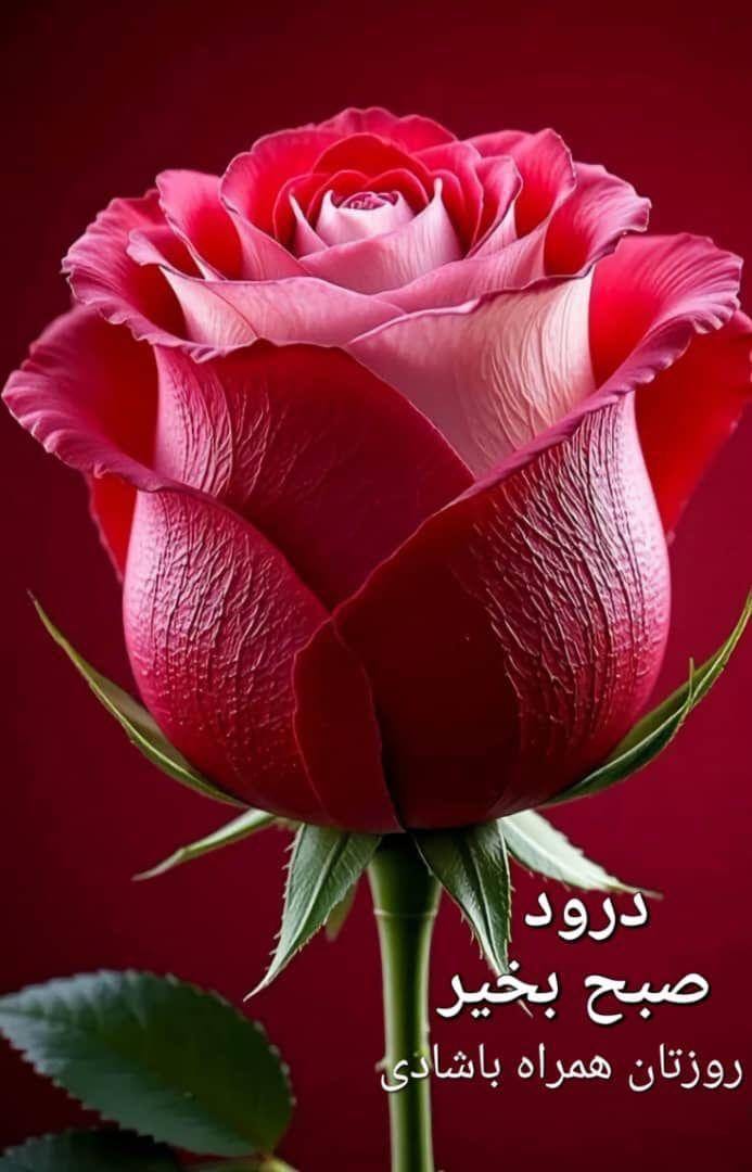 حسین صادقی