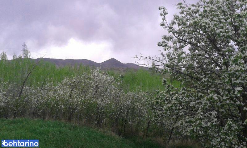 روستای گورانسراب