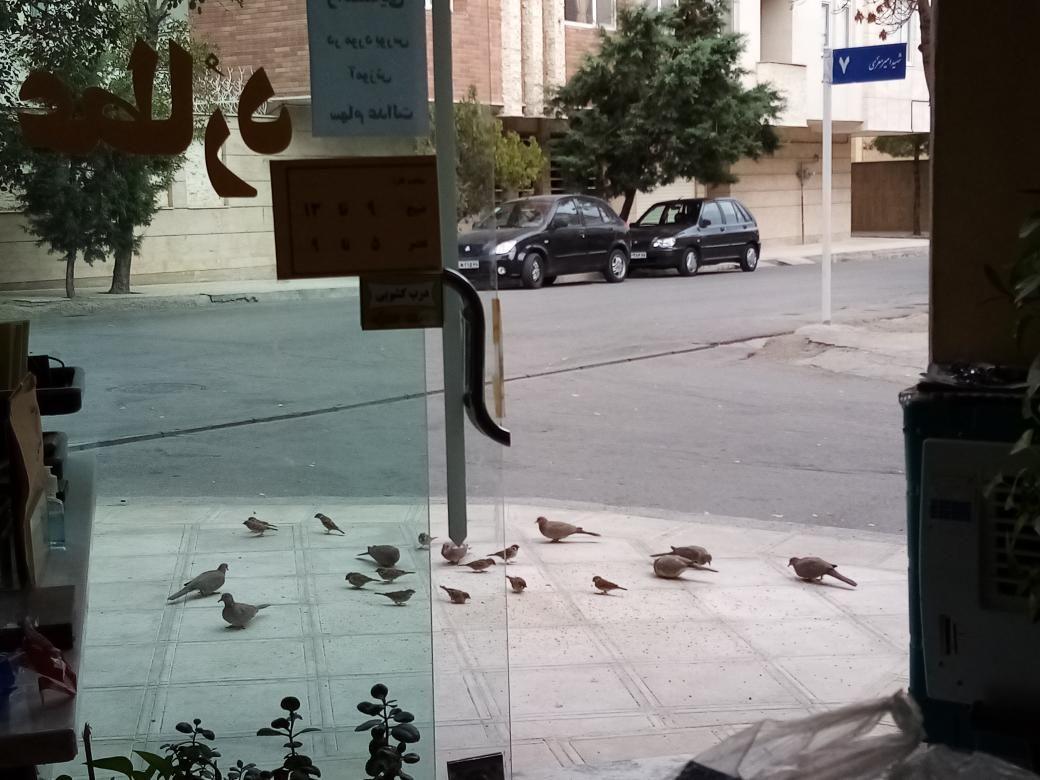 املاک عطارد