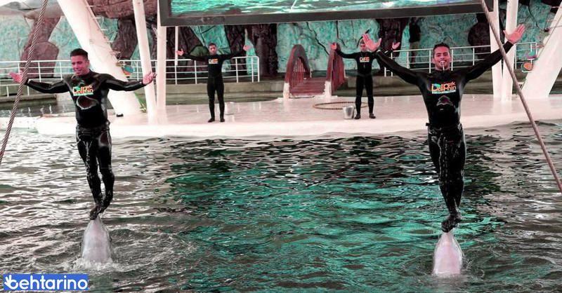 دلفیناریوم کیش