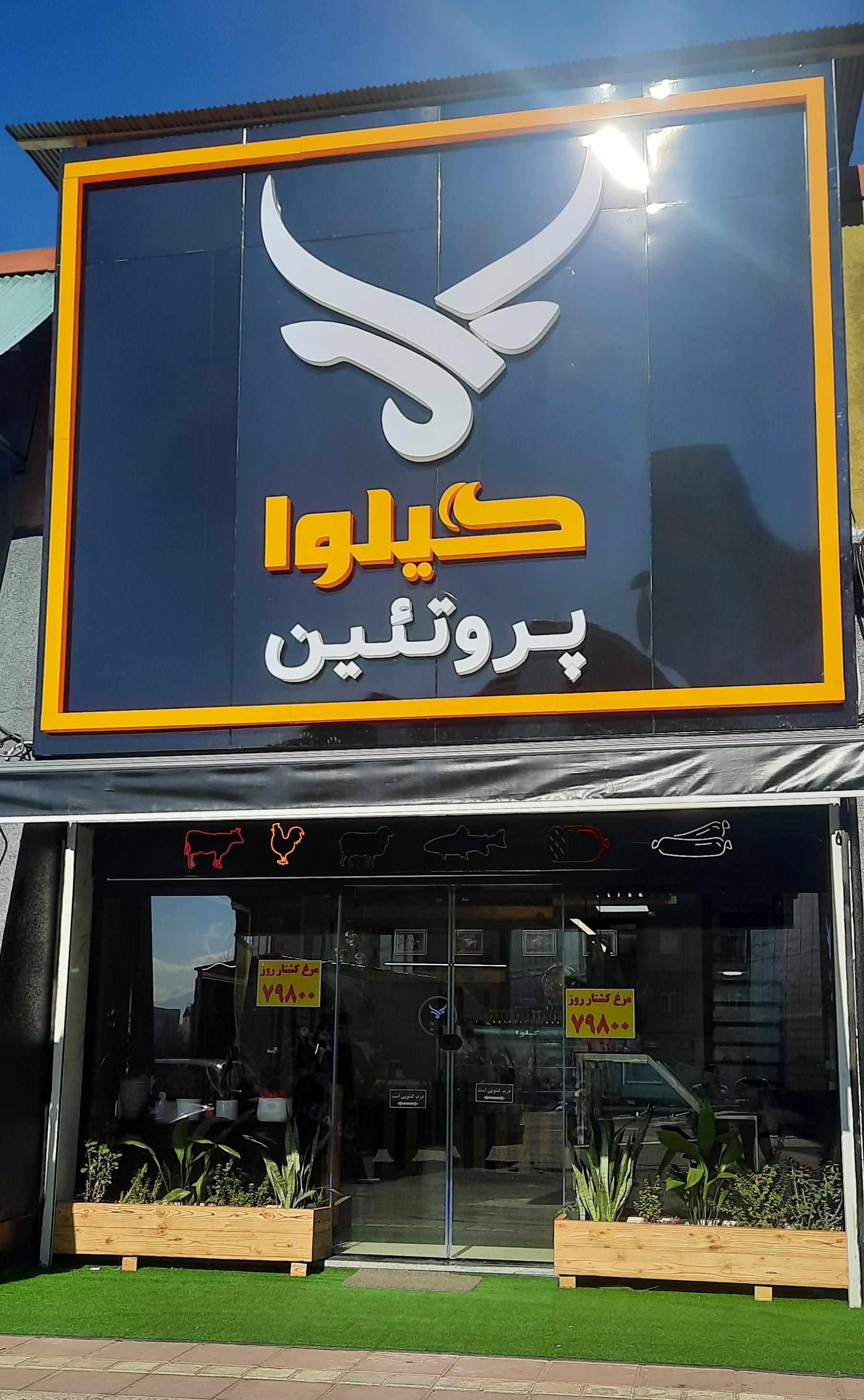 گیلوا پروتئین