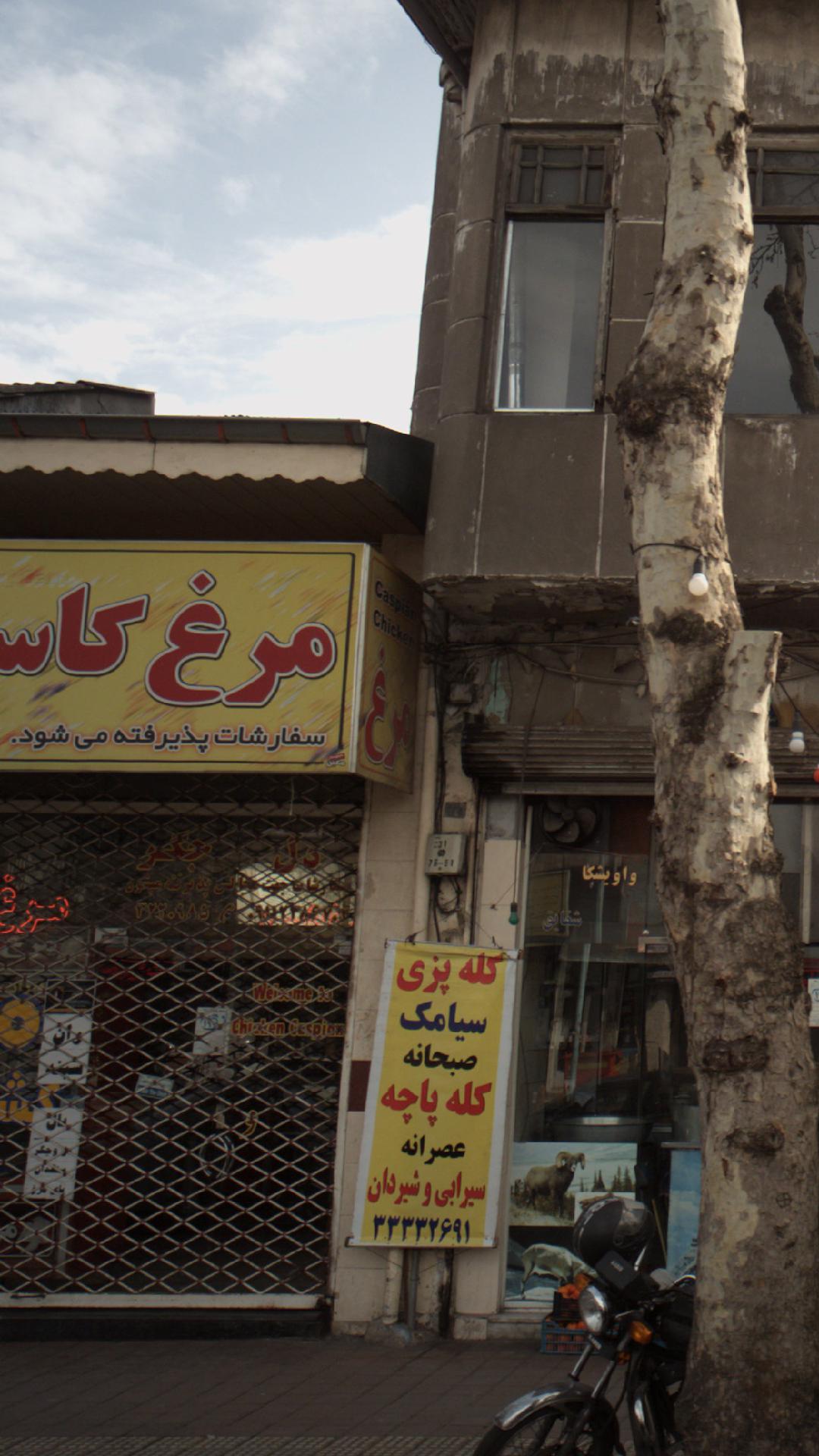 مرغ کاسپین