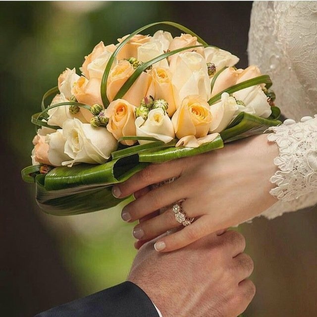 فتوگالری رایکا