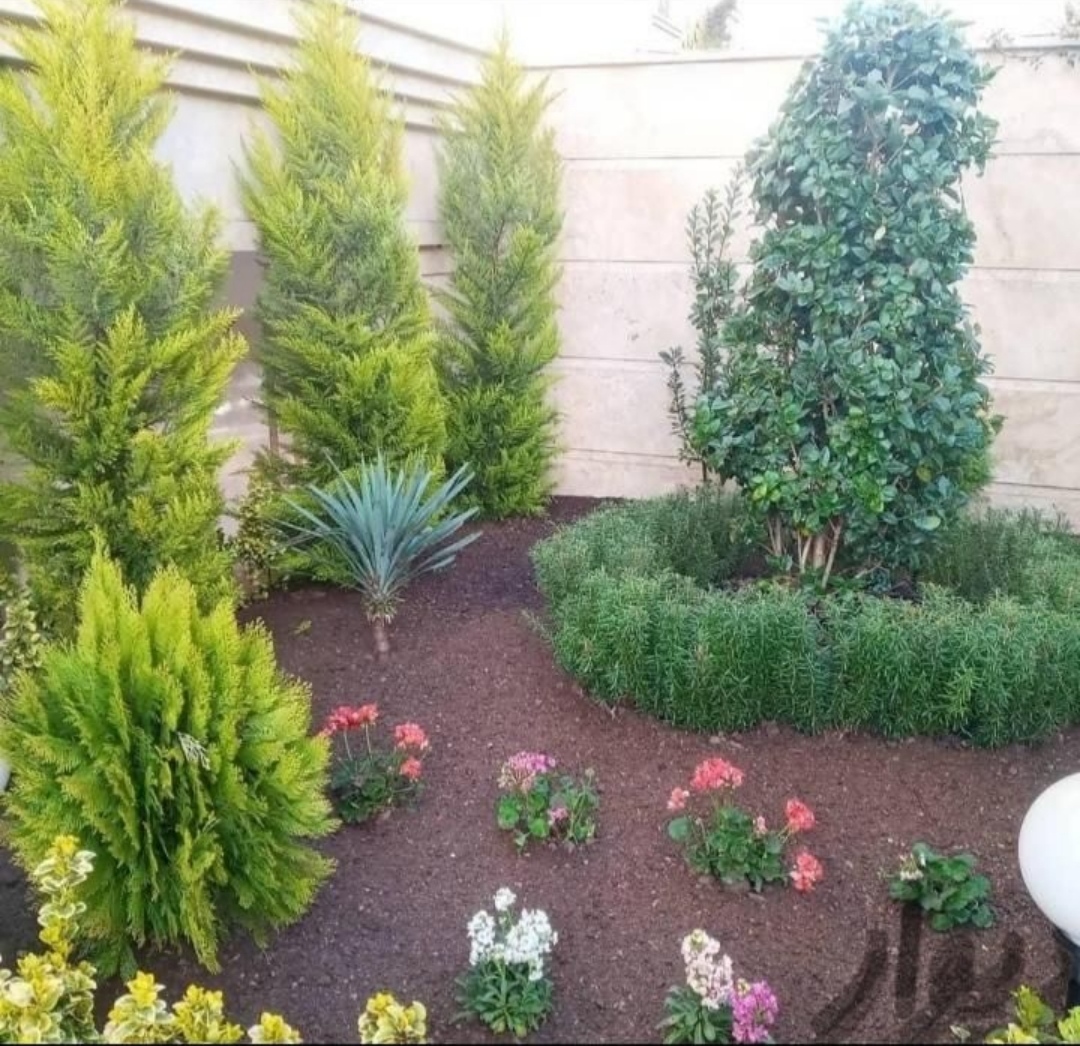 خدمات باغبانی باغچه کاری تعویض خاک گلدان