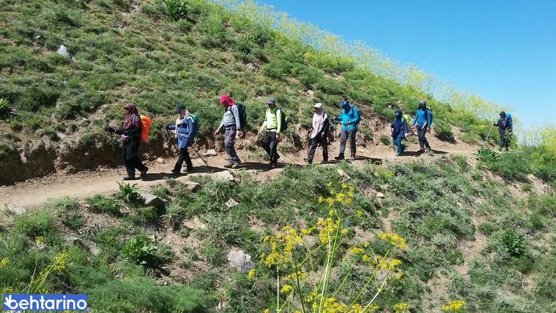 دره پیازچال