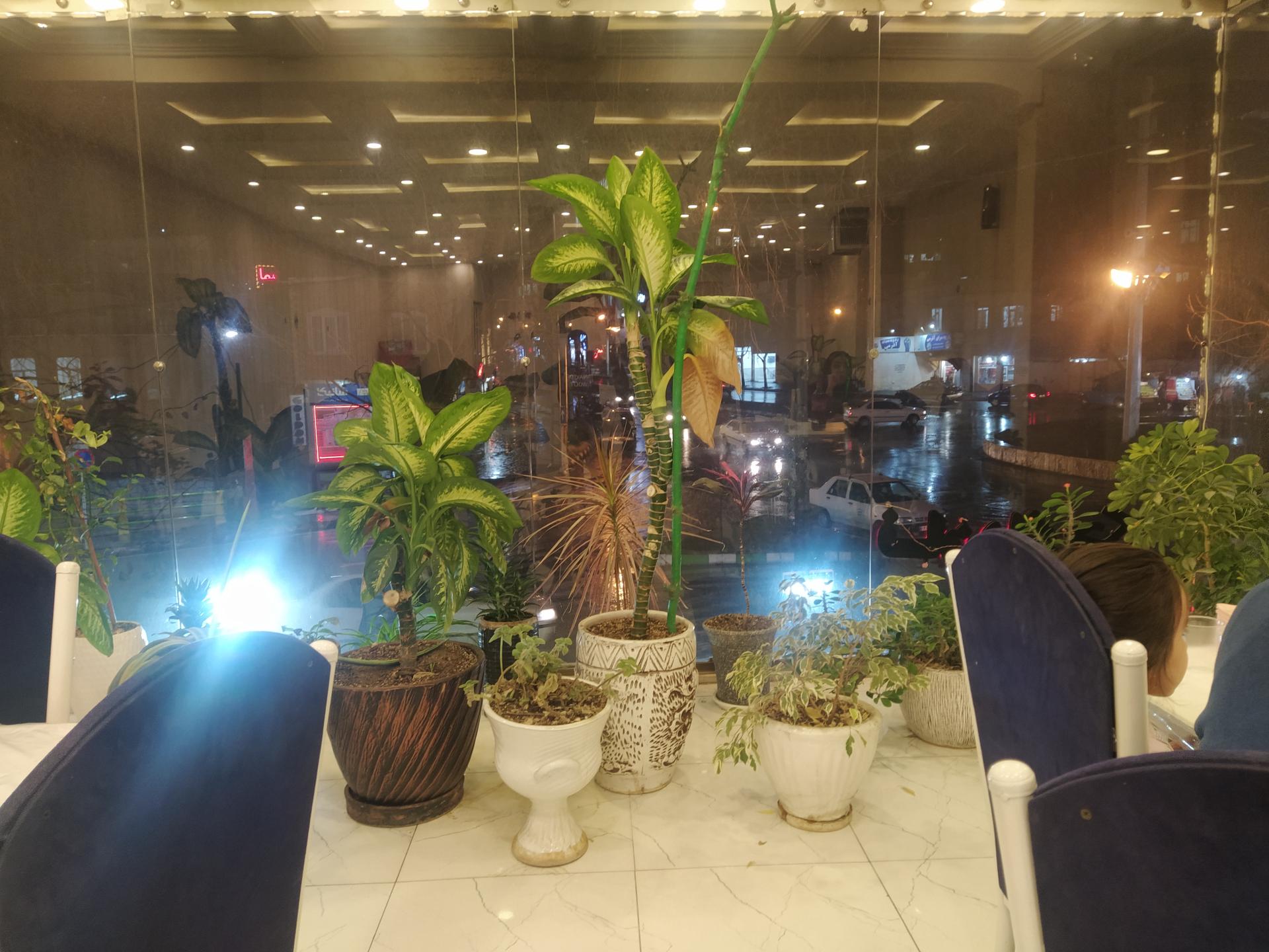 کبابی توفیق