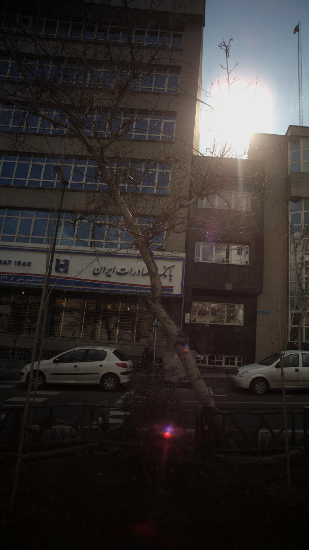 بانک صادرات شعبه داوودیه