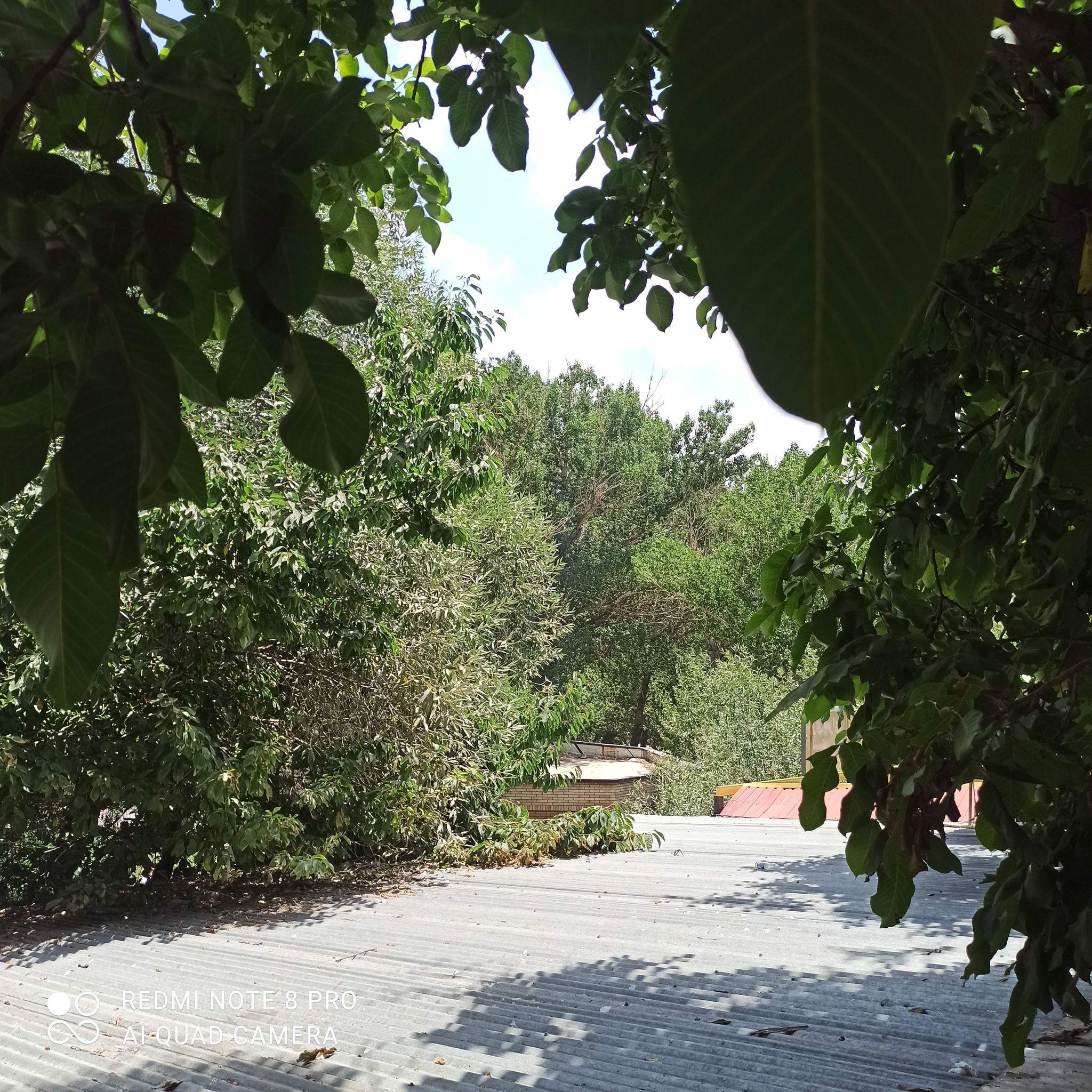 بوستان اعتمادیه