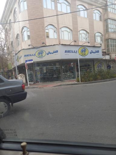 کفش ملی