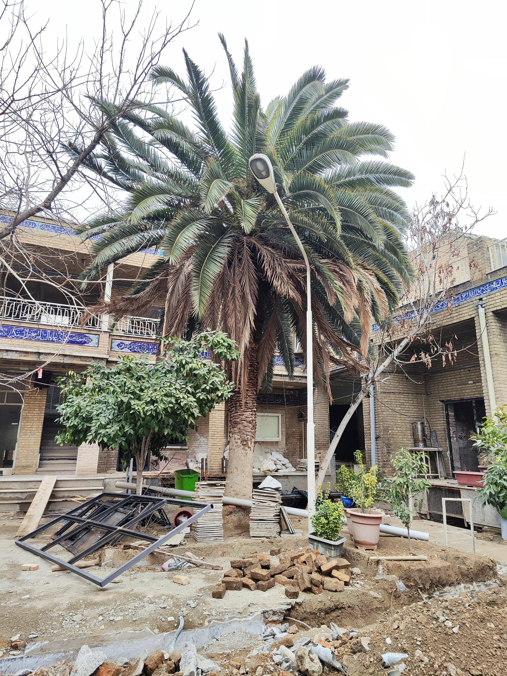 مسجد توفیق