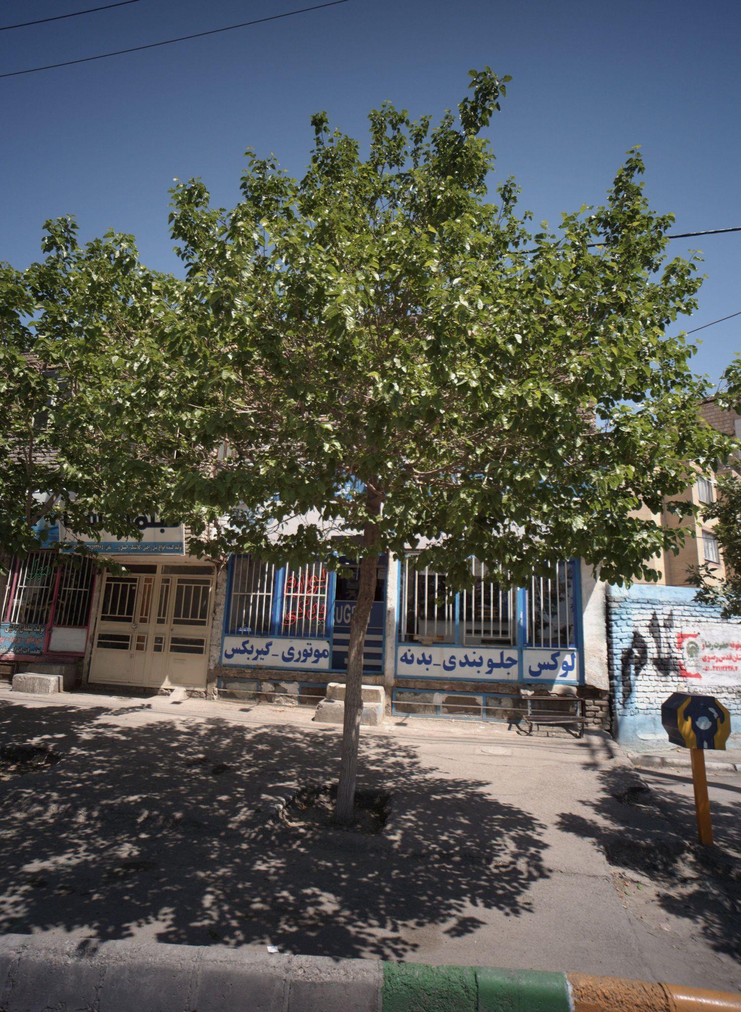 لوازم یدکی محمد