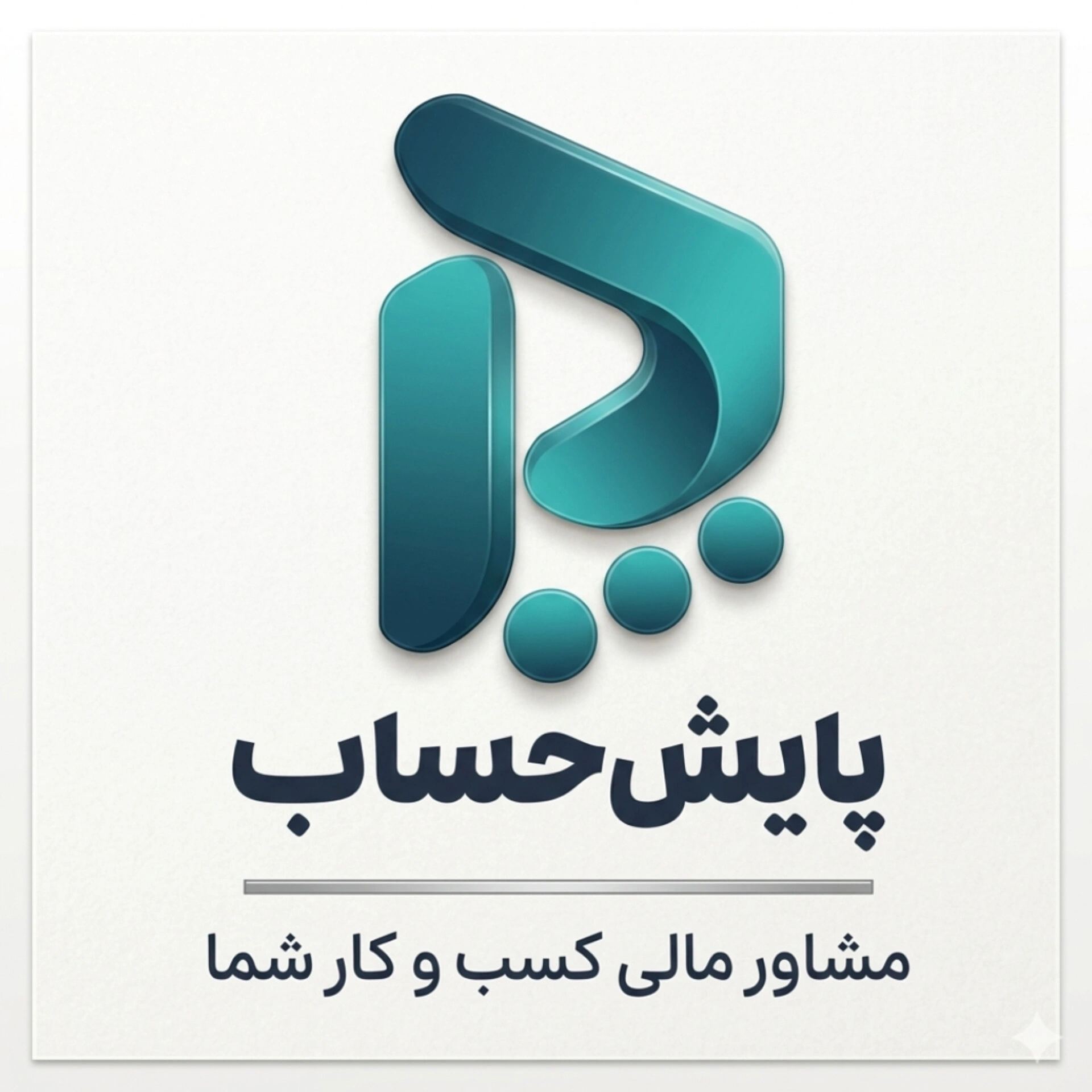 پایش حساب - خدمات مالی و مالیاتی، حسابرسی